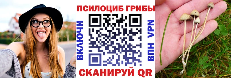 Псилоцибиновые грибы MAGIC MUSHROOMS Кедровый